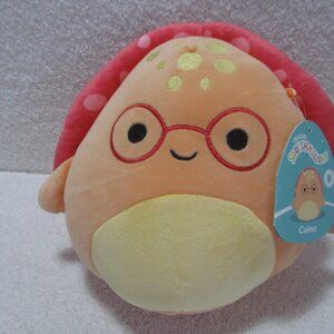 Original Squishmallow Caine the Leatherback Turtle S8 # 2274, Glasses NWT